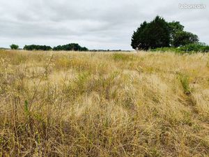 Terrain 3 799 m² Saint Hilaire Du Bois