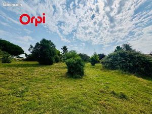 Terrain 3 838 m² Port Des Barques