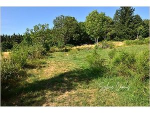 Terrain à vendre de 1 300 00 m² SAINT PAL DE MONS (43)
