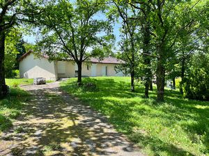 Villa familiale avec piscine et grand sous-sol - Pin-Balma