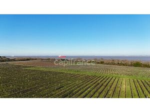propriété à vendre à Saint-Yzans-de-Médoc