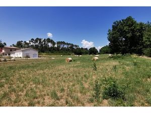 Annonce terrain à vendre