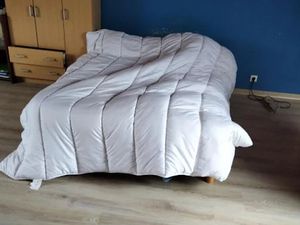 Location chambre 1 pièce 25 m² à Colpo (56390)  175 €