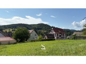 À VENDRE - Terrain constructible LEMBACH (67)  possibilité de scinder la parcelle en deux