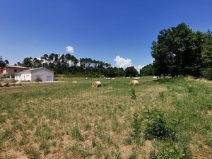 Achat : Terrain (07200)