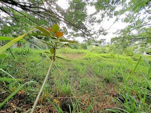 Achat Terrain 922m² STE LUCE 97228