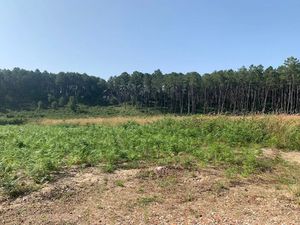 Vente terrain 780 m² à Mimizan (40200)  108 000 €