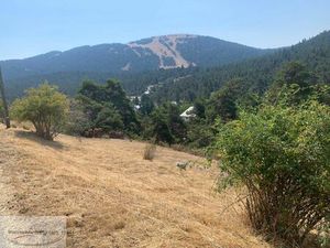 Vente terrain 800 m² Caille (06750)