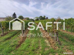 Terrain 9963 m² RAUZAN