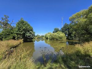 Terrain 45 907 m² Martigne Sur Mayenne