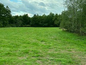 Grand terrain constructible avec CU - Nantiat 87 Limousin