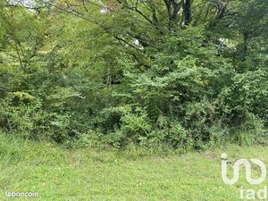 Terrain 10388 m² BONNEFONT