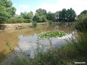 Terrain 11 460 m² Nuille Le Jalais