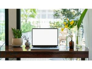 Location bureau 330 m² à Vannes (56000)