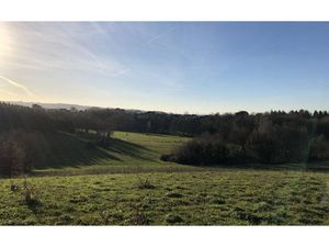 Vente terrain 750 m² à Albi (81000)  49 000 €