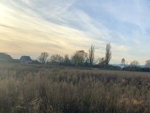 en vente Terrain non constructible 250 m² – 117 200 € |Battenheim