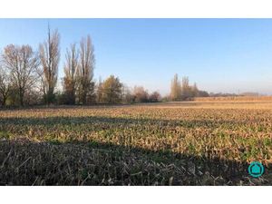 en vente Terrain non constructible 250 m² – 123 450 € |Battenheim