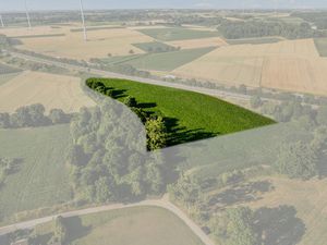 Grond te koop in Tongeren-Borgloon