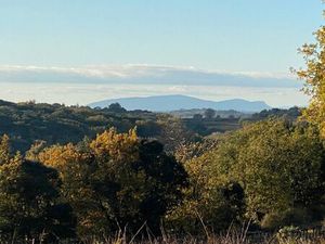 Annonce vente terrain terrain de 7770m2 à Le pin (30330) - ParuVendu.fr ref 992781534033