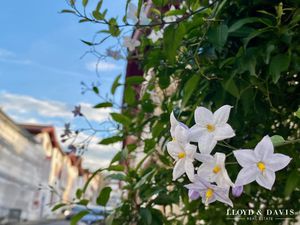 Maison familiale au coeur d'un village classé