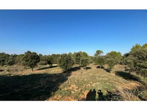 Terrain Cabrières m² T- à vendre  9 900 €