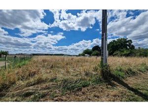 Terrain Châtillon-sur-Cher m² T- à vendre  19 500 €