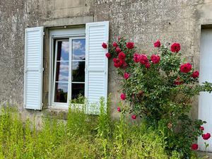 Vente maison 7 pièces 310 m² Darney (88260)