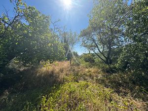 Vente terrain 343 m² à Nimes (30000)  149 000 €