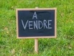 Terrain 1110 m² SAINT-SEROTIN