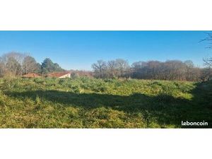 Terrain 7 522 m² Laree