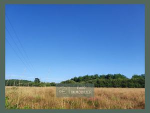 Vente terrain 7127 m² Bazas (33430)