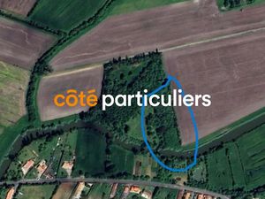 Vente terrain 4800 m² à Vouillé-les-Marais (85450)  18 990 €