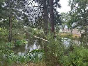 Vente terrain 3937 m² à Saint-Martin-d'Abbat (45110)  139 880 €