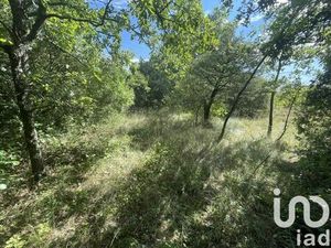 Vente terrain 4400 m² Fons-sur-Lussan (30580)