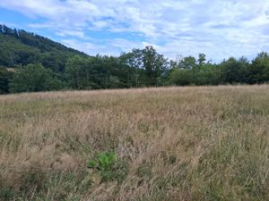 Vente terrain 1011 m² à Hericourt (70400)  60 600 €