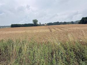 Terrain en vente à Rue de Philippeville LOT 1  Florennes  Belgique | CENTURY 21®