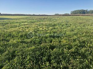 Terrain de 1 664 m² à Razac-D'eymet