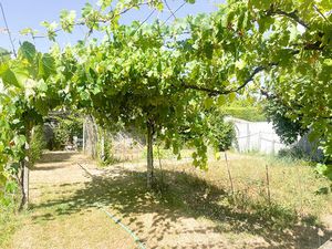 Vente terrain Saint-Xandre 17138 - 180200 € - Surface Privée