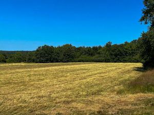 Terrain 9 518 m² Saint Remy