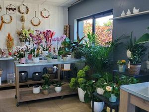 Fleuriste  local commercial 228 m² Ingrandes-le-Fresne-sur-Loire