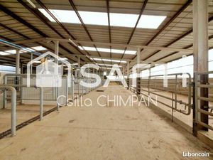 Propriété 5 pièces 155 m²