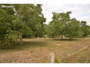 Terrain 5299 m² MASSOGNES