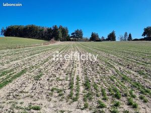 Terrain 2 894 m² Le Malzieu Forain