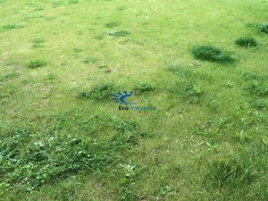 EXCLUSIVITE TERRAIN CONSTRUCTIBLE PERIGNY