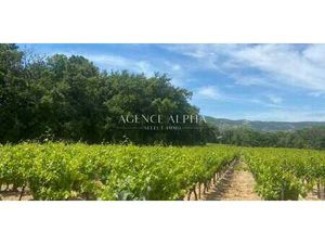 Terrain Plan-de-la-Tour (83)