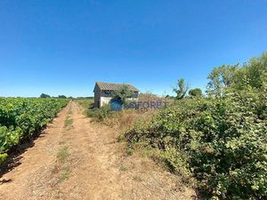 Vente terrain 4100 m² à Gallargues-le-Montueux (30660)  30 000 €