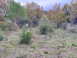 Vente terrain 1397 m² à Néoules (83136)  160 000 €