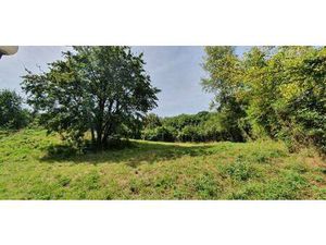 Terrasson Immobilier