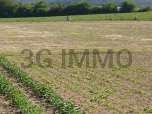 Terrain à vendre