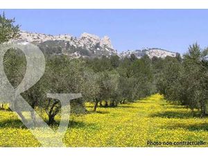 Terrain constructible viabilisé à vendre